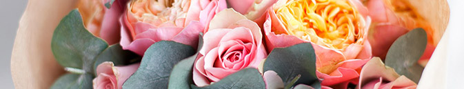 купить цветы Израиль от Grand-flora